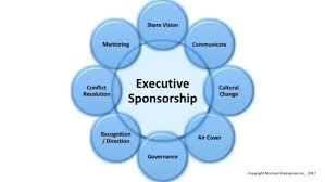 Executive Sponsorship